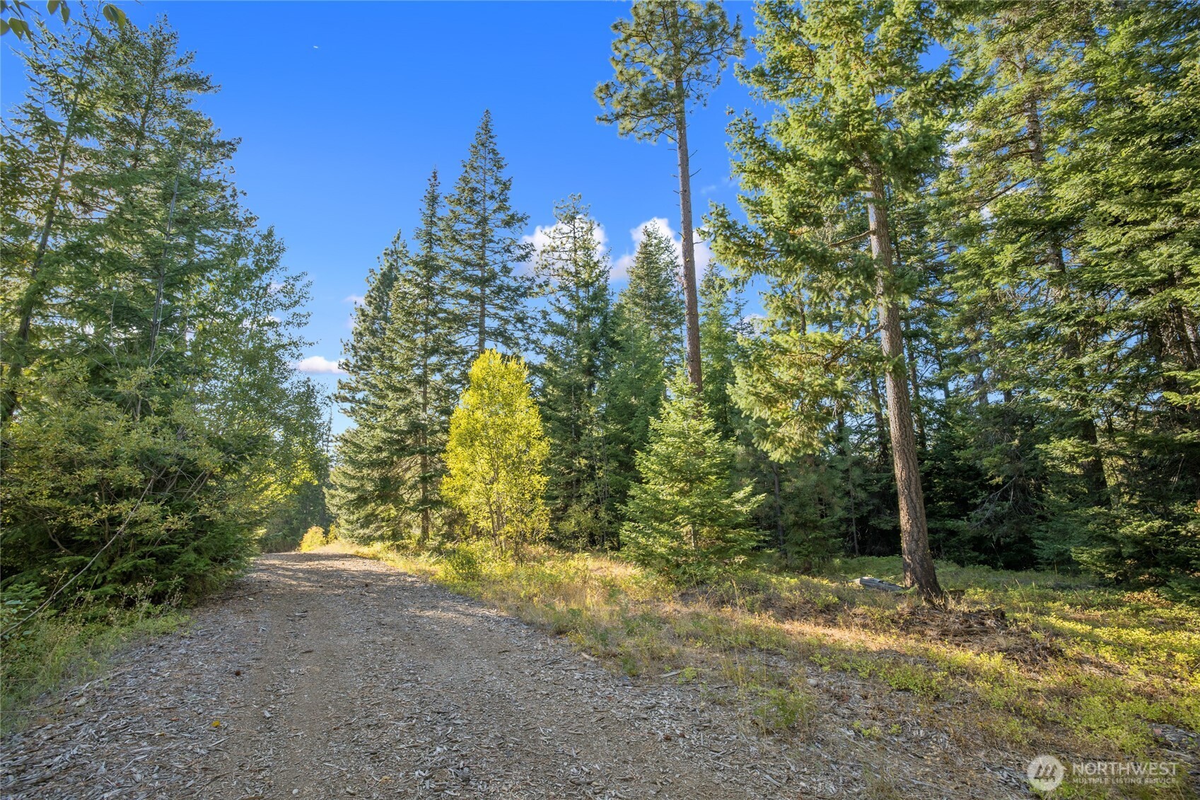 1000 R&R Hts Drive Roslyn, WA 98941 - Photo 6 of 23 a view of a yard with plants and trees