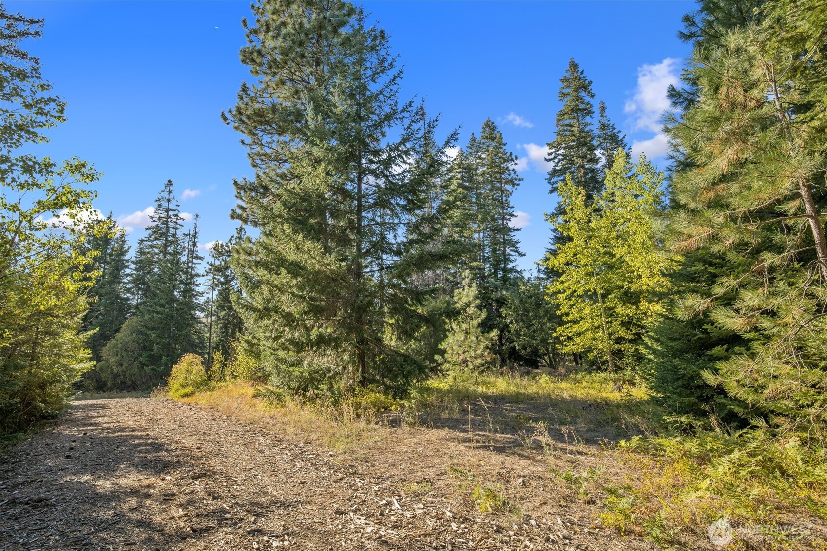 1000 R&R Hts Drive Roslyn, WA 98941 - Photo 7 of 23 a view of a yard with plants and trees