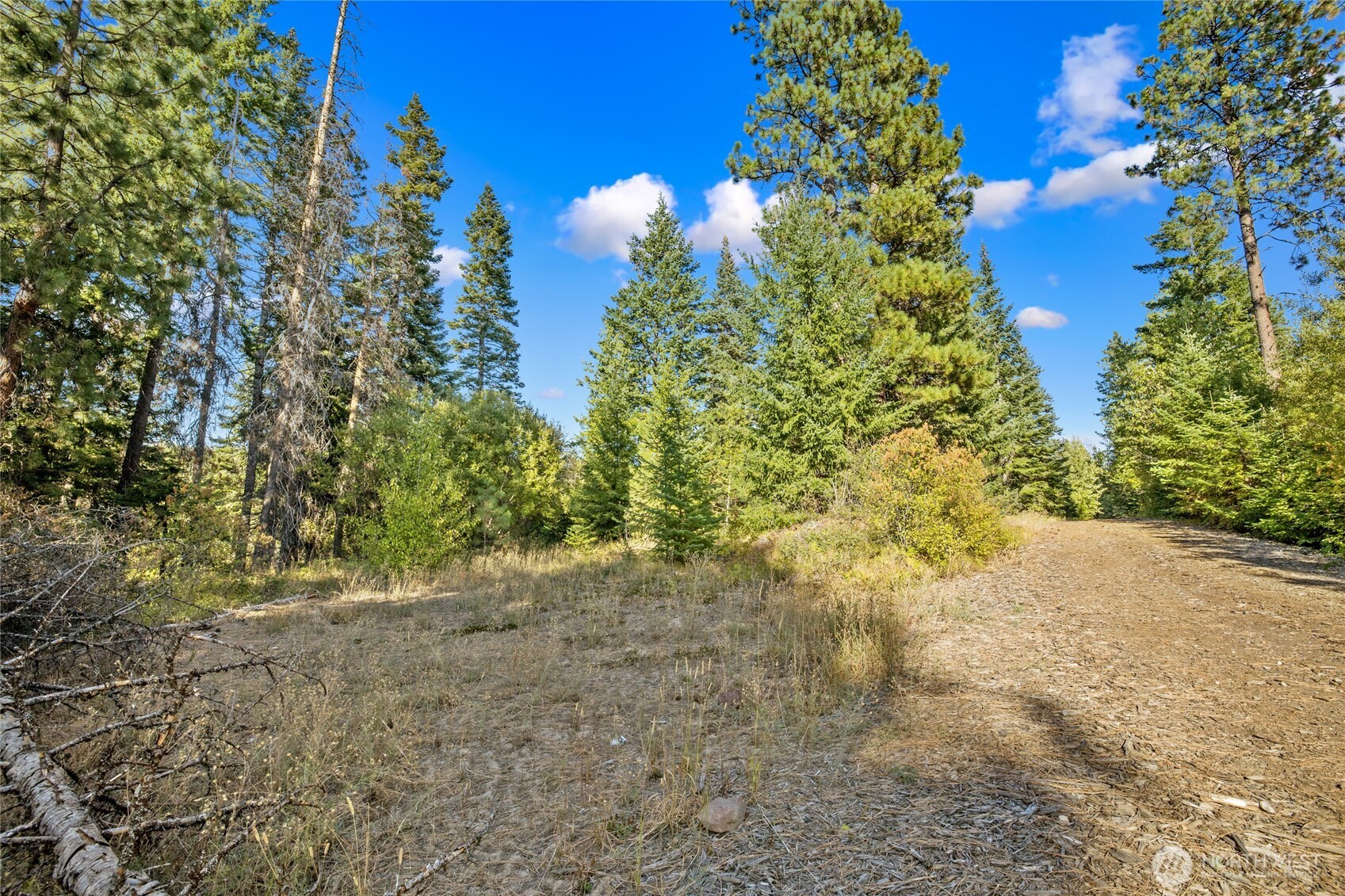 1000 R&R Hts Drive Roslyn, WA 98941 - Photo 8 of 23 a view of a big yard with lots of bushes