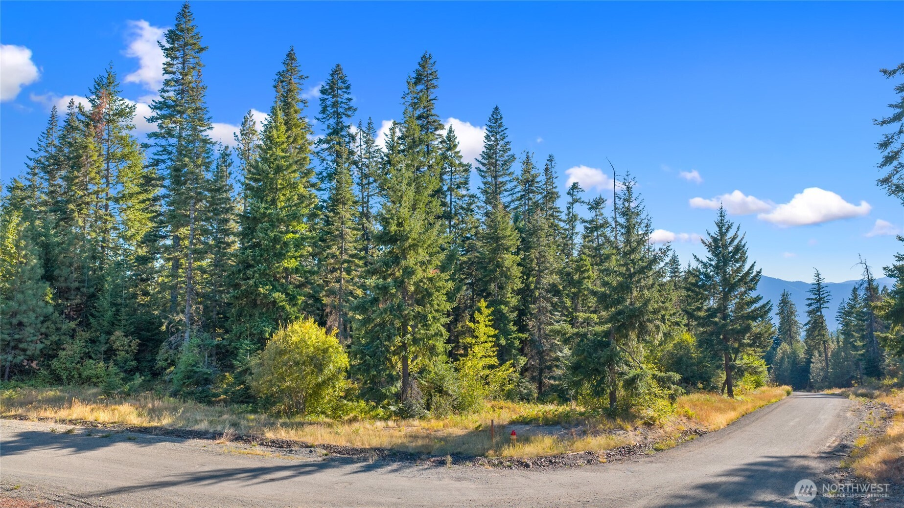 1000 R&R Hts Drive Roslyn, WA 98941 - Photo 9 of 23 a view of a yard