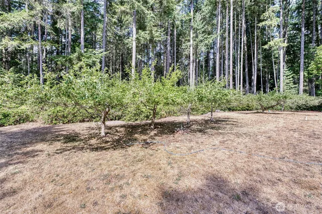 a view of backyard with barbeque grill and outdoor seating
