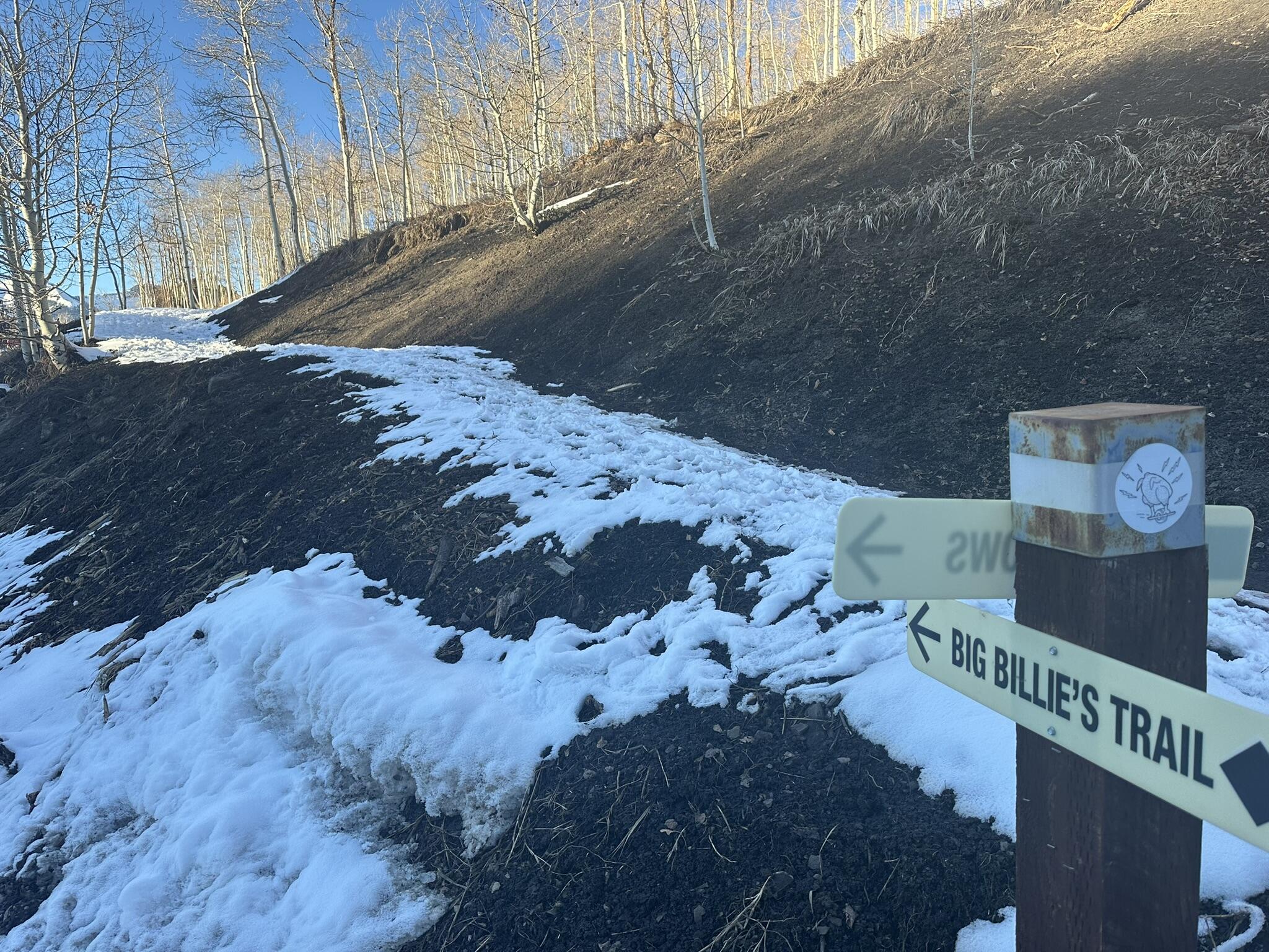 404 Adams Ranch Road, Unit 1201 Mountain Village, CO 81435 - Photo 13 of 47 HIking Trails Very Nearby