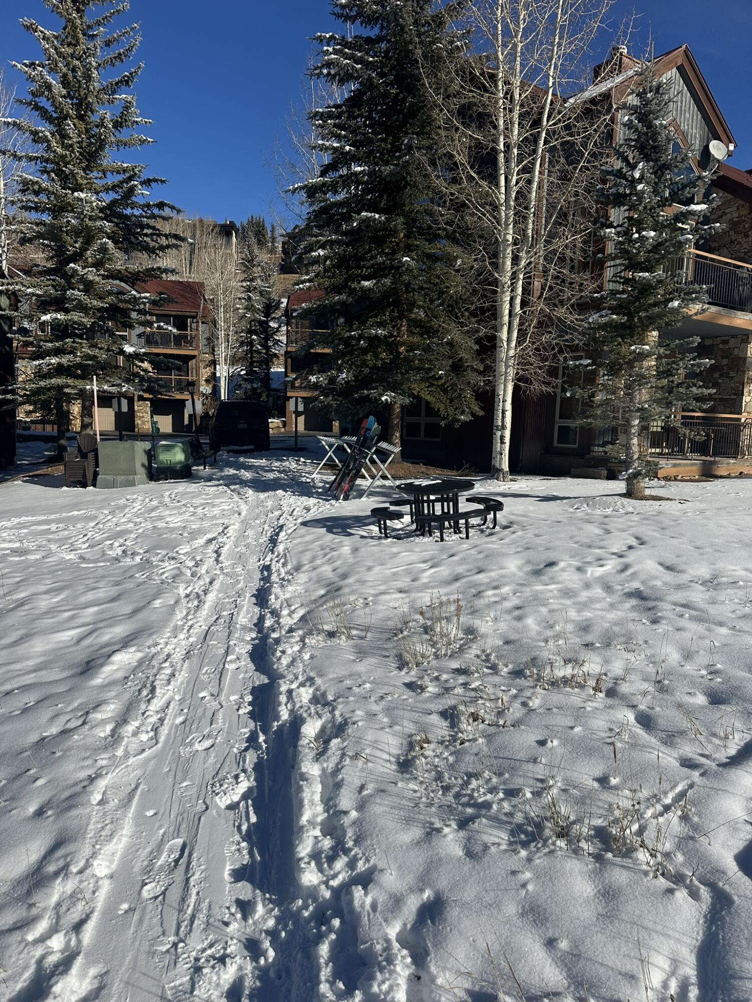 404 Adams Ranch Road, Unit 1201 Mountain Village, CO 81435 - Photo 38 of 47 a view of outdoor space with trees