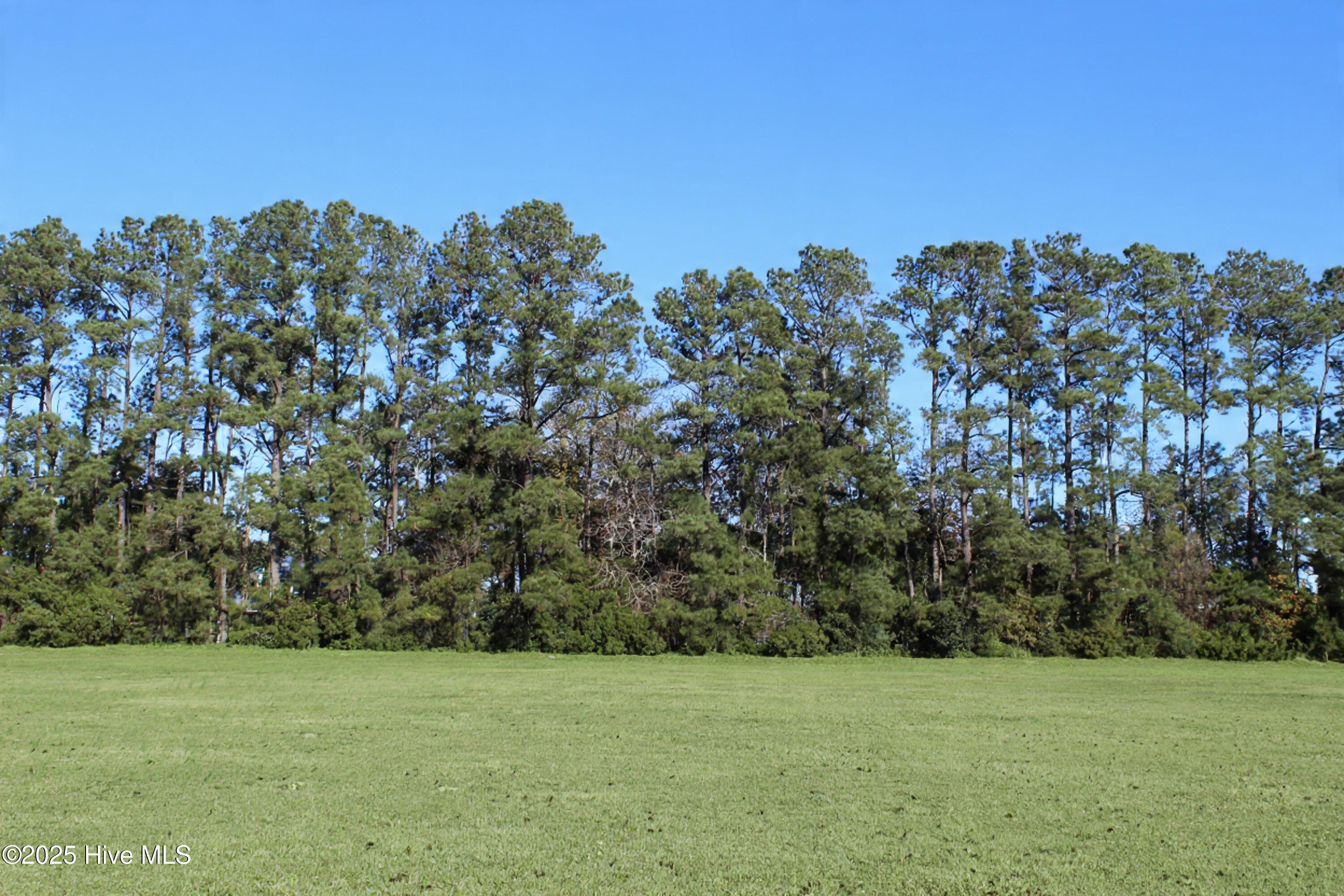 113 Waterway Road Havelock, NC 28532 - Photo 2 of 17 level building lot