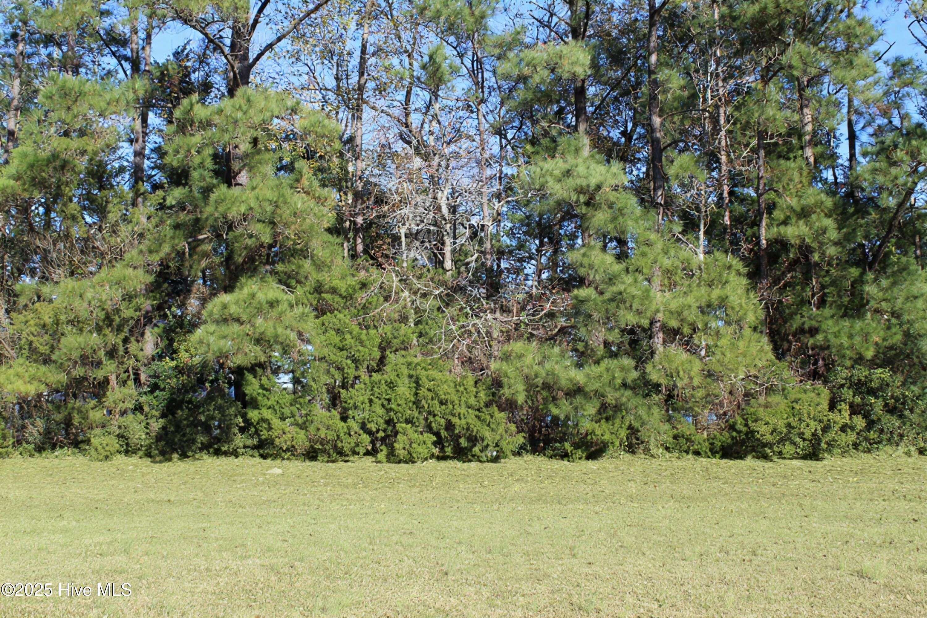 113 Waterway Road Havelock, NC 28532 - Photo 3 of 17 Back of lot