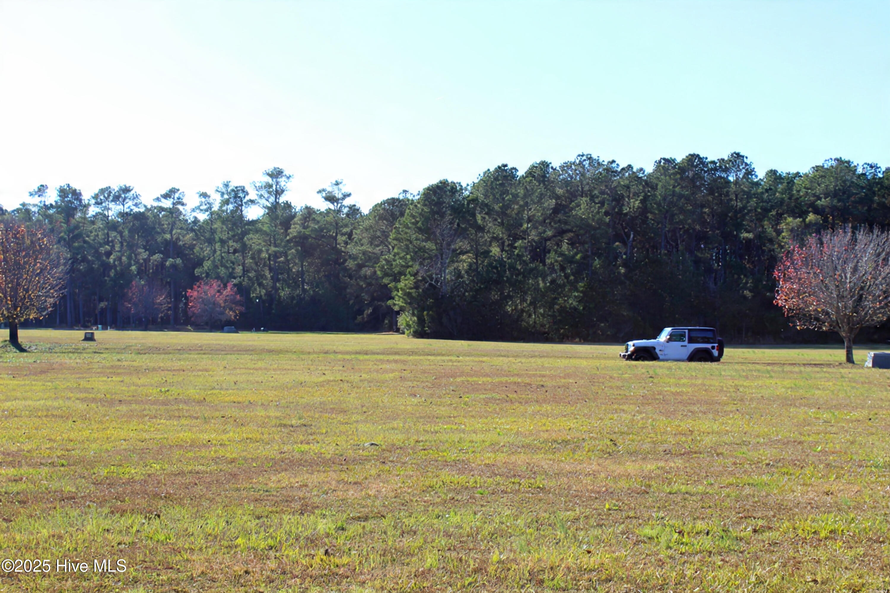 113 Waterway Road Havelock, NC 28532 - Photo 7 of 17 View from back of lot