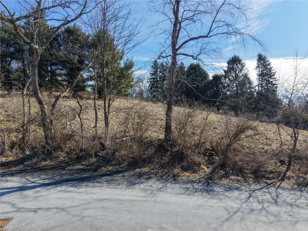 4990 Lakewood Road Gibsonia, PA 15044 - Photo 4 of 10 a view of a yard