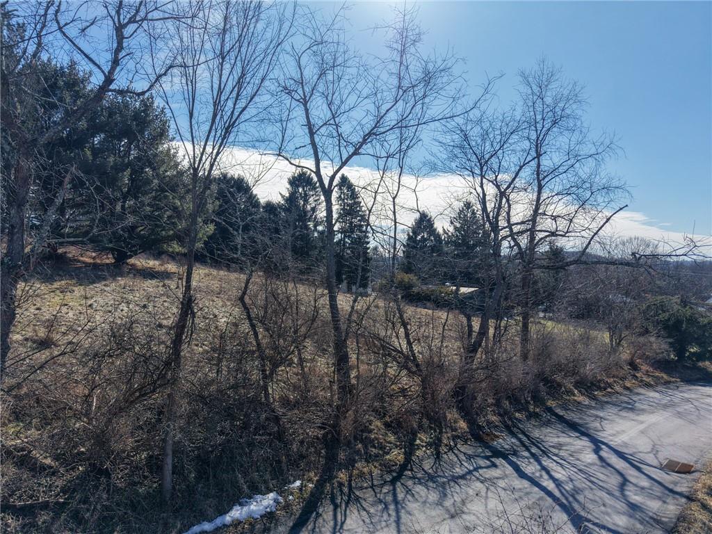 4990 Lakewood Road Gibsonia, PA 15044 - Photo 5 of 10 a view of a forest filled with trees