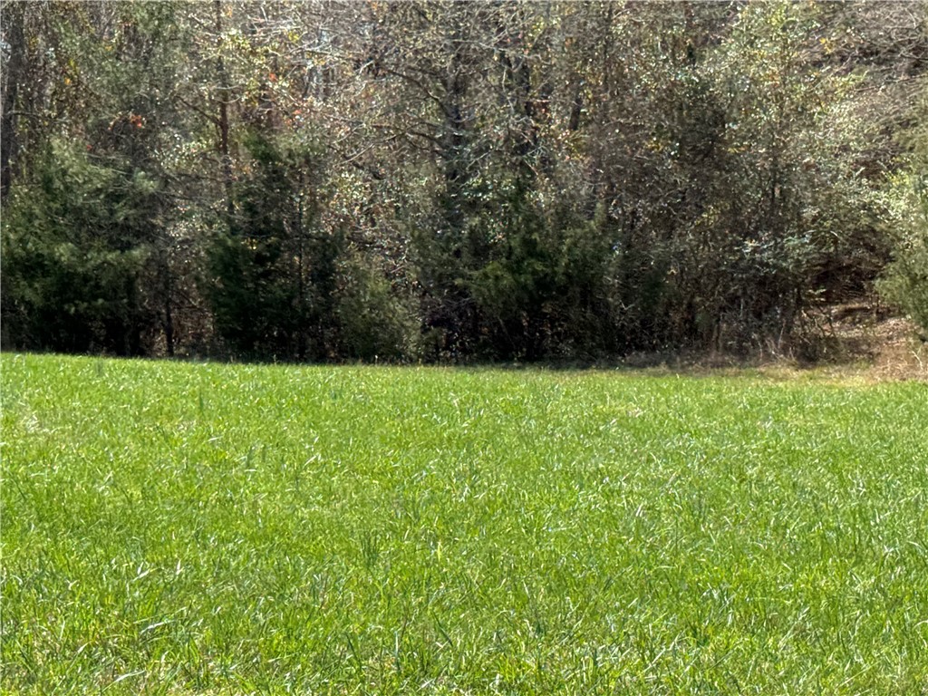 0 Holland Ford Road Pelzer, SC 29669 - Photo 2 of 35