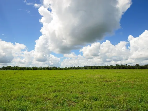 $630,000 | 0 Guyler/sprain, Wallis, TX 77485