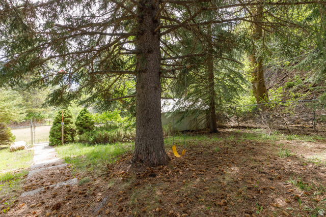 6449 North North Fork Road Eden, UT 84310 - Photo 38 of 38 Mature evergreen trees providing natural shade