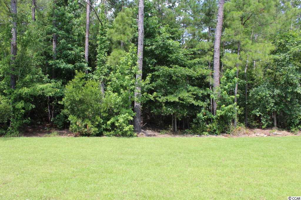 4068 Ridgewood Drive Conway, SC 29526 - Photo 24 of 28 Gallery Image 24