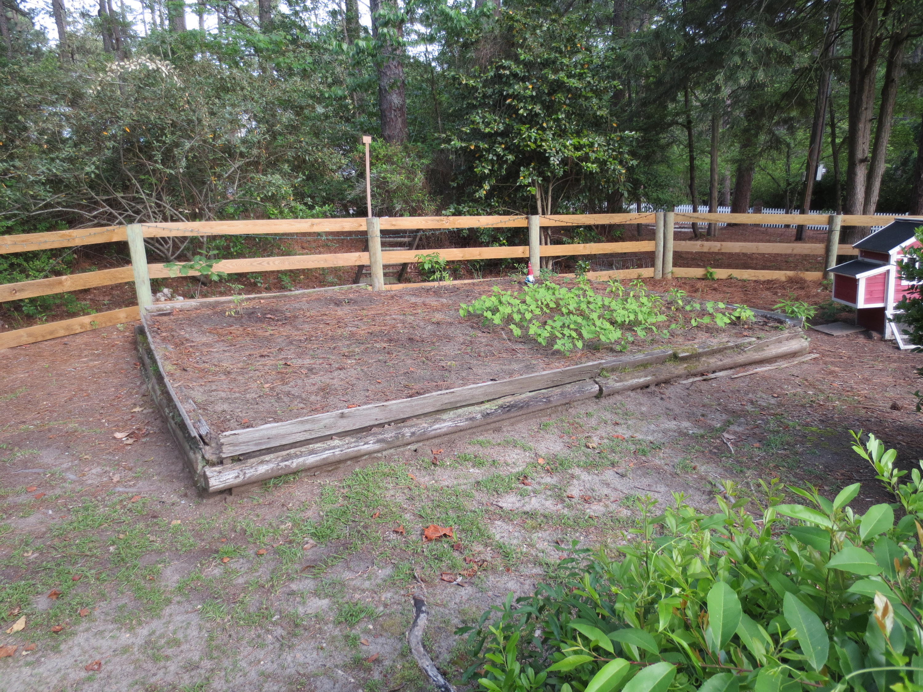 785 East Massachusetts Avenue Southern Pines, NC 28387 - Photo 32 of 37 Raised vegetable bed