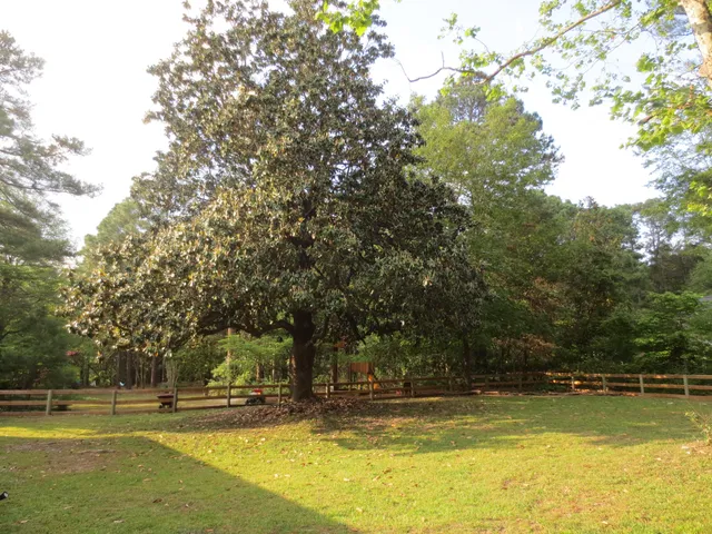 $2,600 | 785 East Massachusetts Avenue, Southern Pines, NC 28387