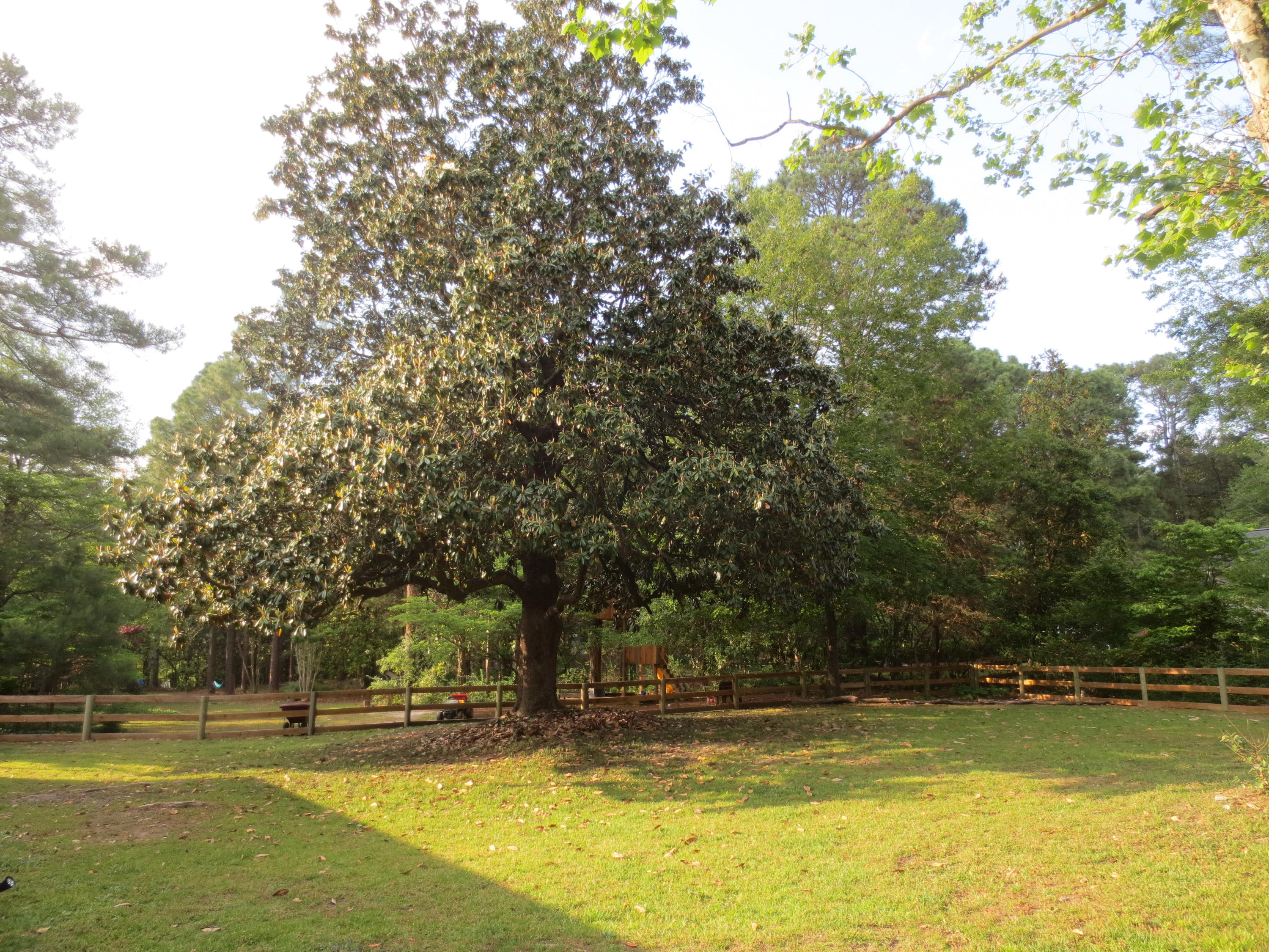 785 East Massachusetts Avenue Southern Pines, NC 28387 - Photo 35 of 37 IMG_0044