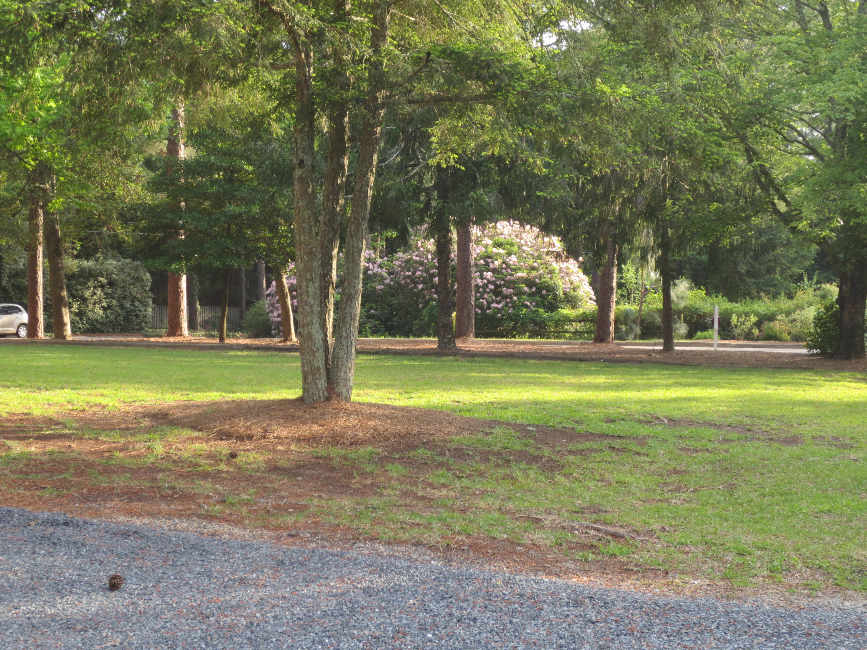 785 East Massachusetts Avenue Southern Pines, NC 28387 - Photo 37 of 37 IMG_0048