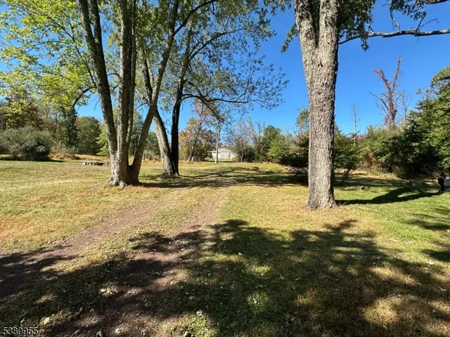 a view of yard with tree