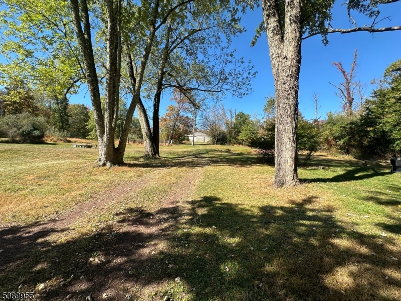 223 Federal Twist Road Stockton, NJ 08559 - Photo 3 of 28 a view of yard with tree