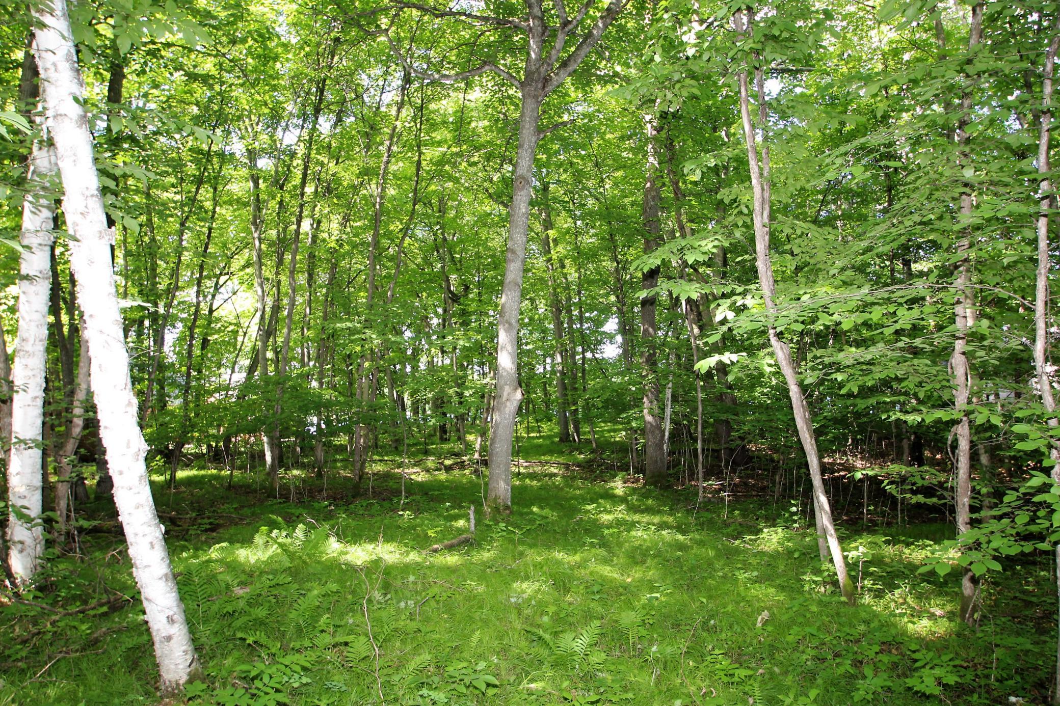 4967 X Fish Lake Road Pelican Rapids, MN 56572 - Photo 1 of 32