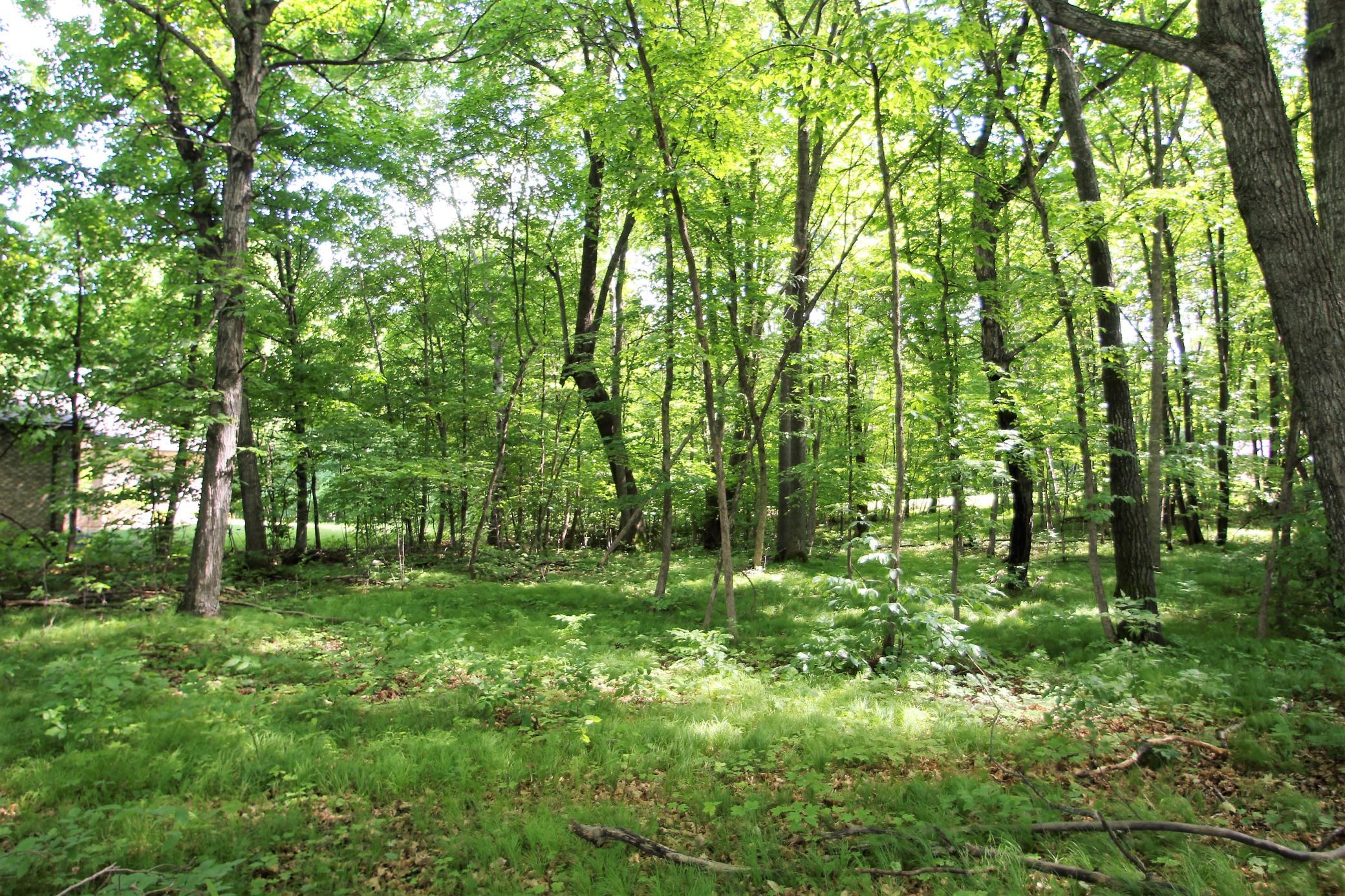 4967 X Fish Lake Road Pelican Rapids, MN 56572 - Photo 11 of 32