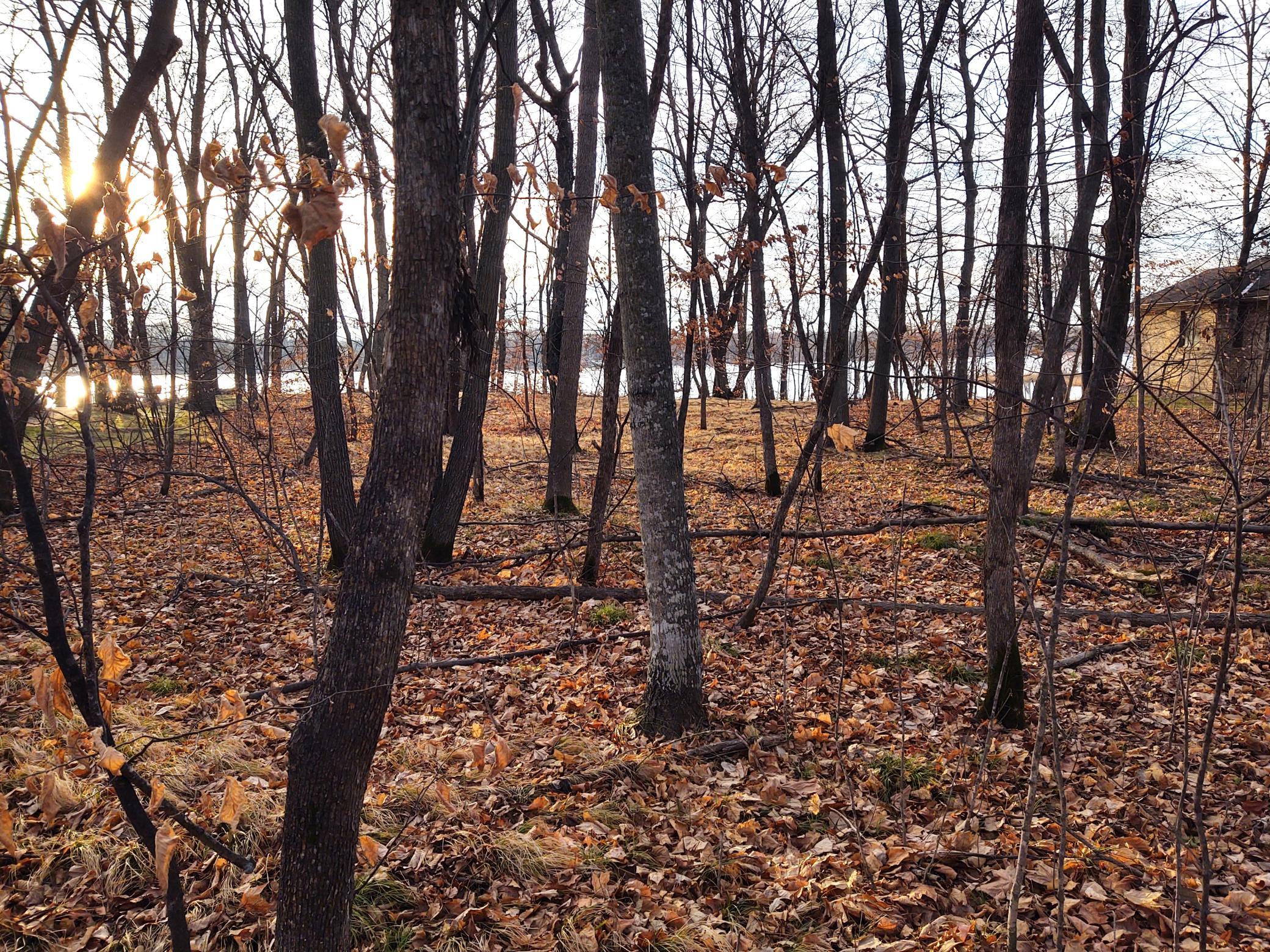 4967 X Fish Lake Road Pelican Rapids, MN 56572 - Photo 12 of 32