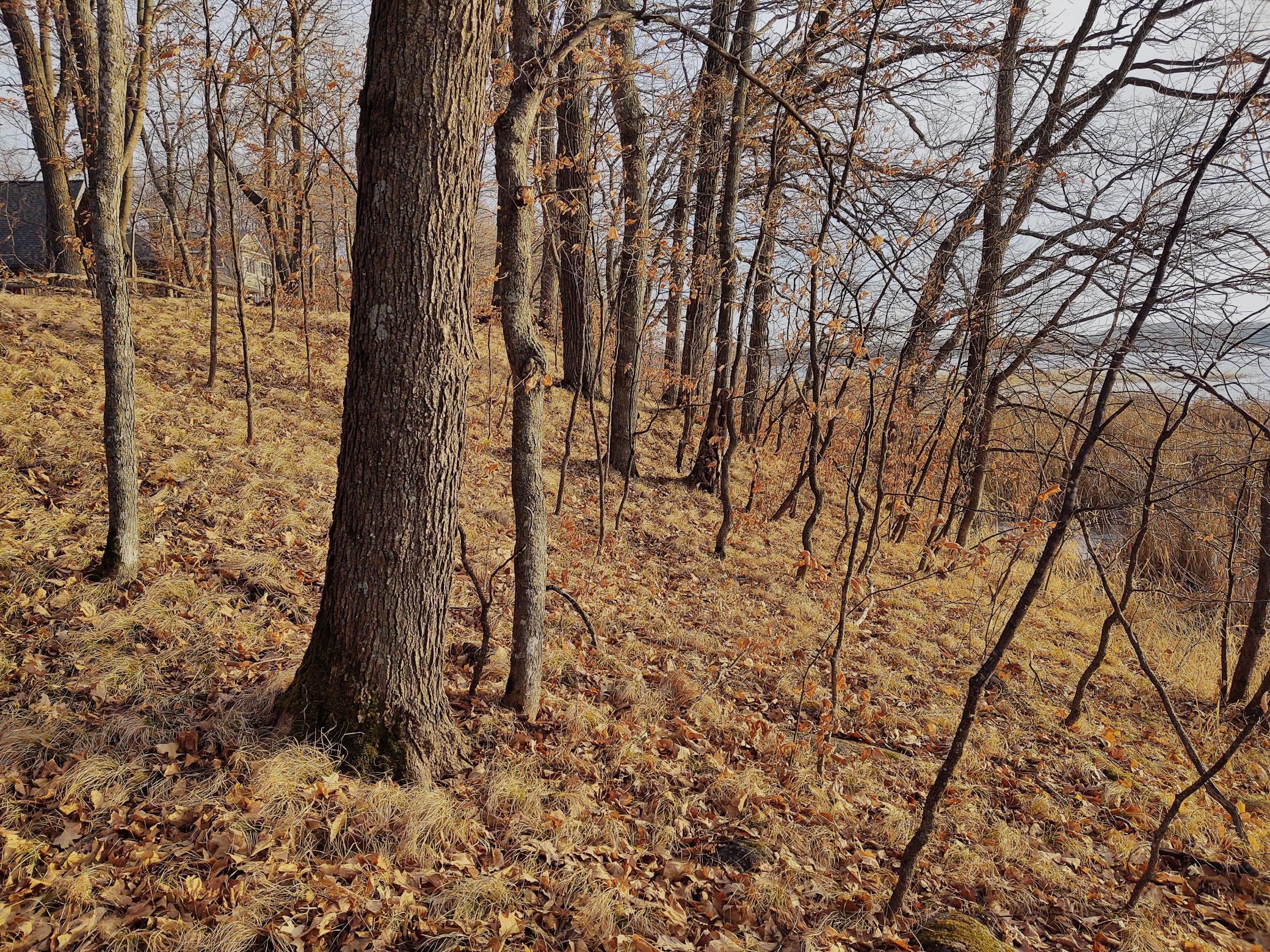 4967 X Fish Lake Road Pelican Rapids, MN 56572 - Photo 13 of 32