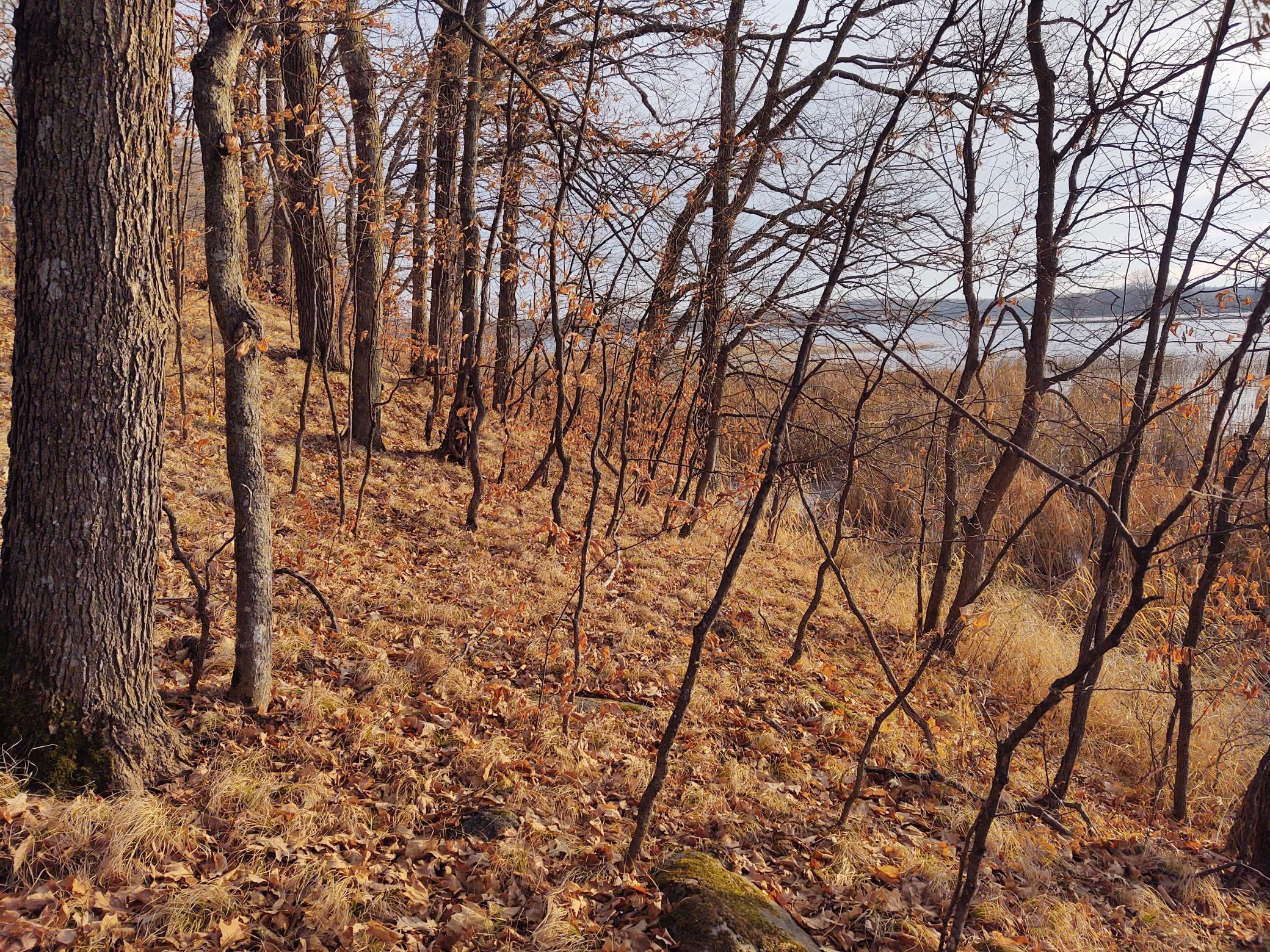 4967 X Fish Lake Road Pelican Rapids, MN 56572 - Photo 15 of 32