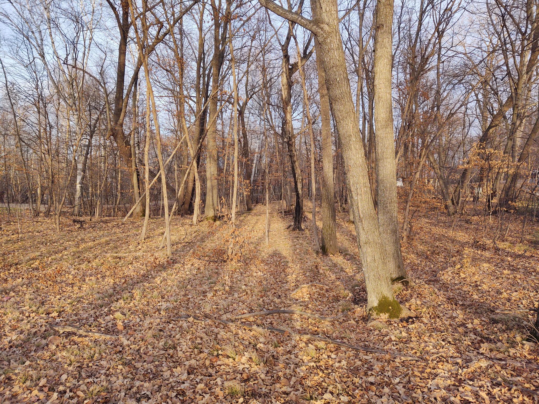 4967 X Fish Lake Road Pelican Rapids, MN 56572 - Photo 18 of 32