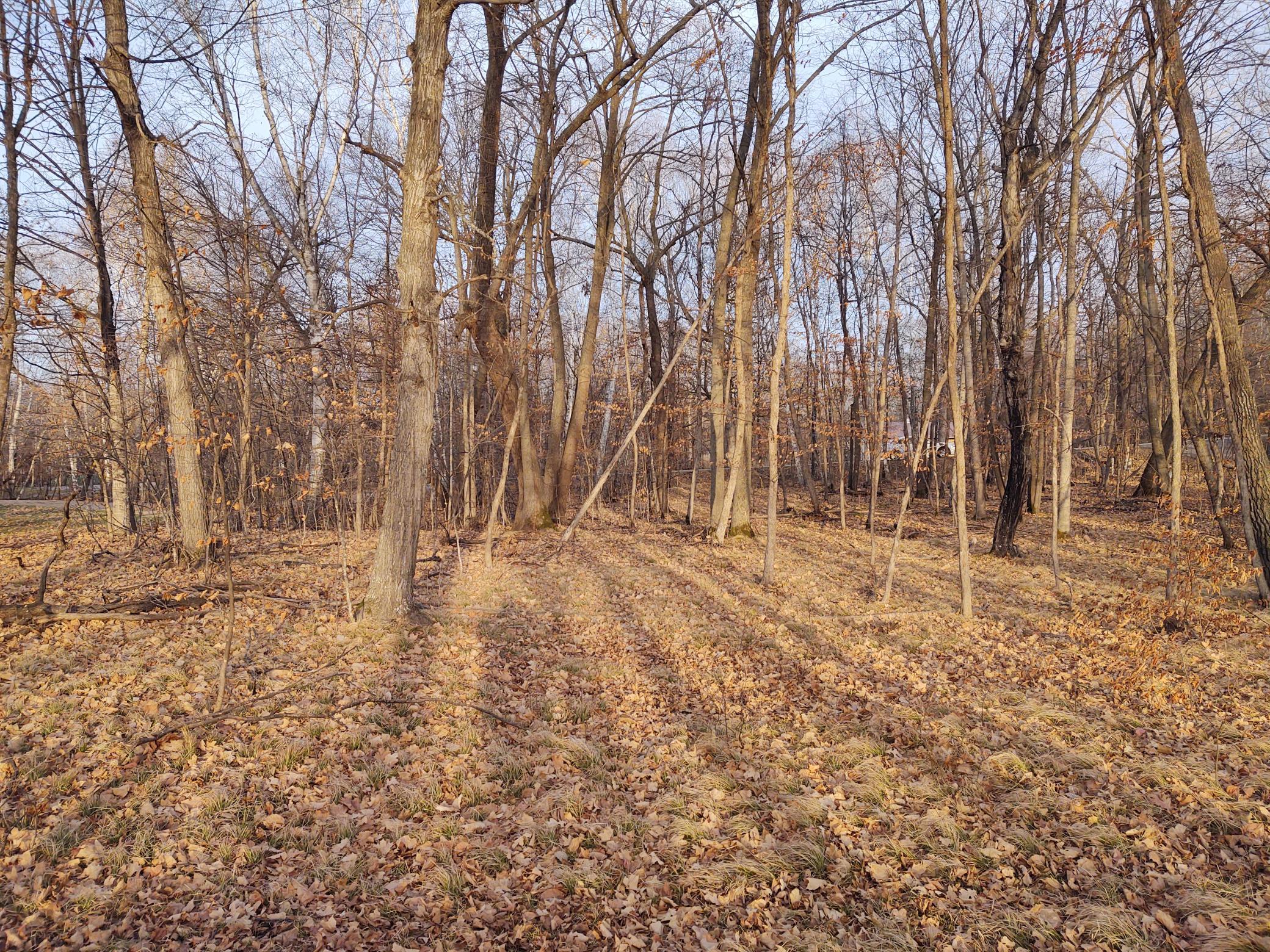 4967 X Fish Lake Road Pelican Rapids, MN 56572 - Photo 19 of 32