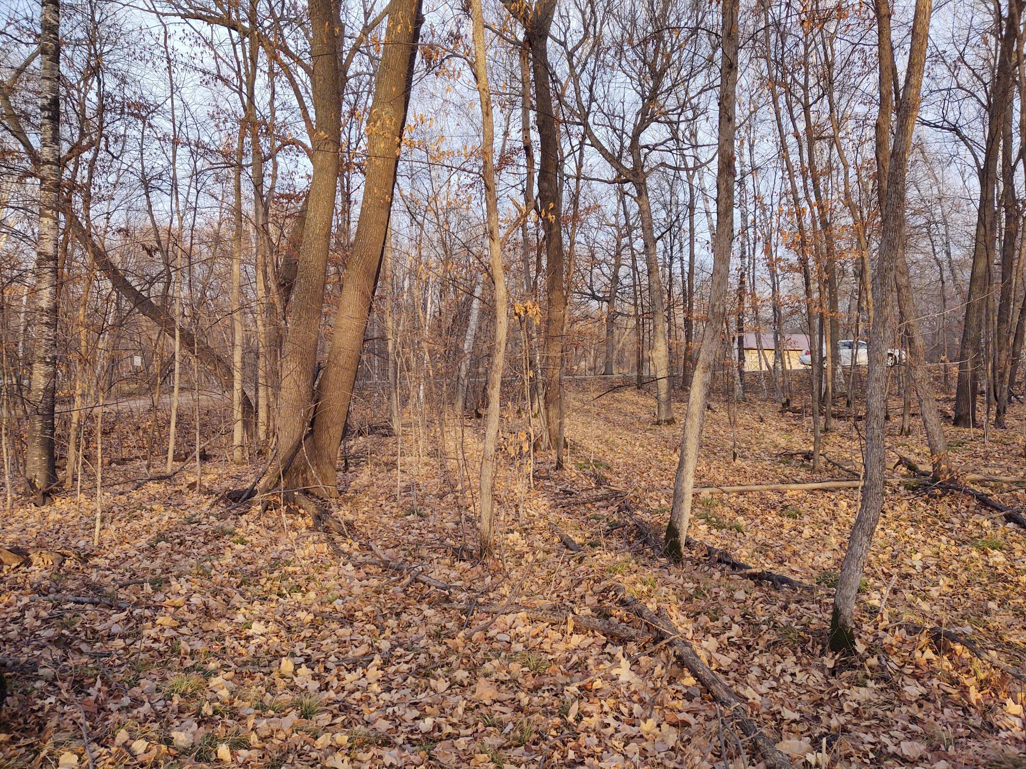 4967 X Fish Lake Road Pelican Rapids, MN 56572 - Photo 21 of 32