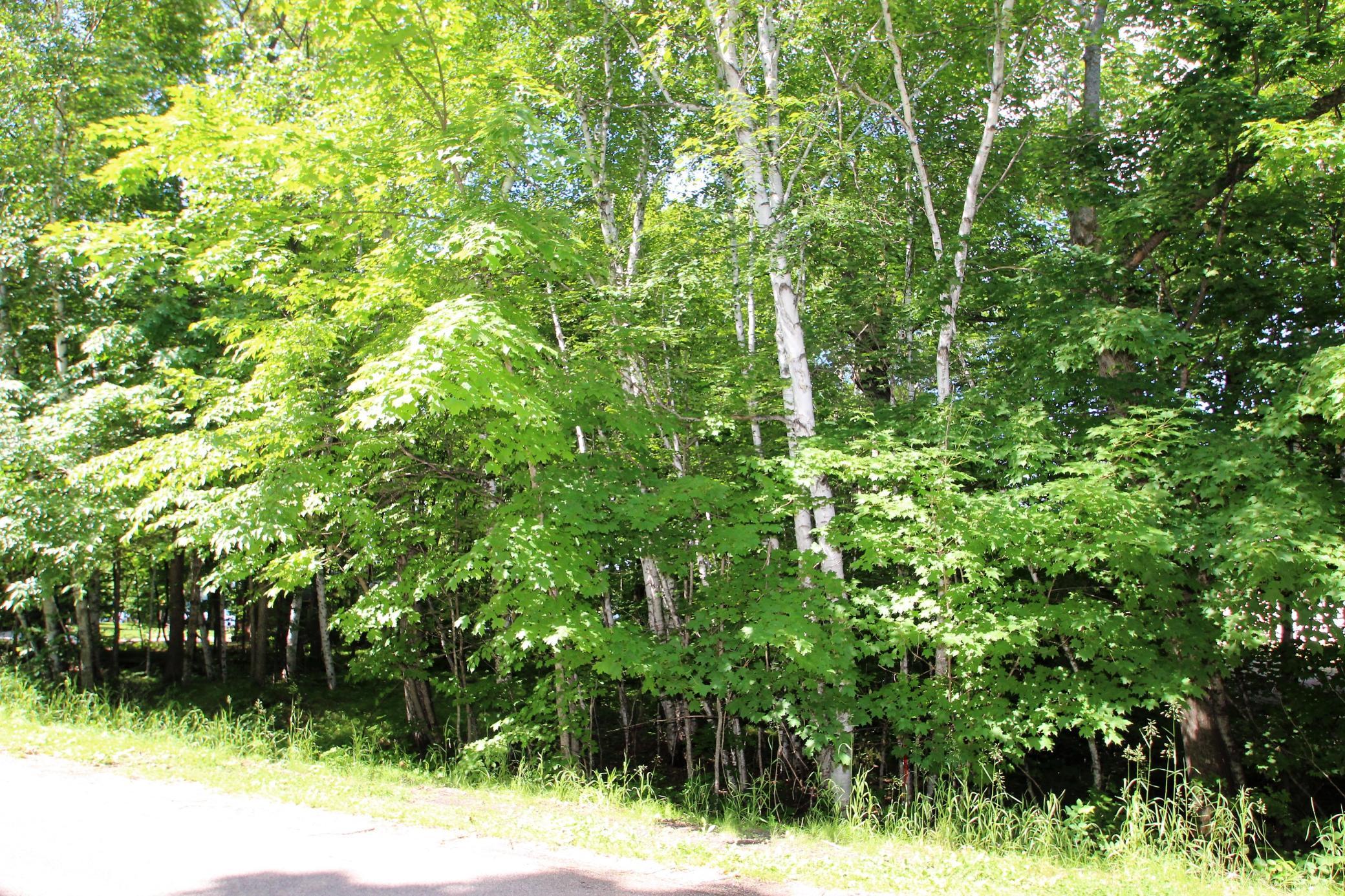 4967 X Fish Lake Road Pelican Rapids, MN 56572 - Photo 5 of 32