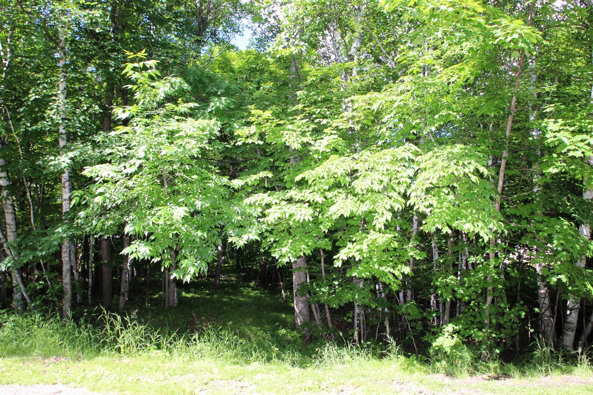 4967 X Fish Lake Road Pelican Rapids, MN 56572 - Photo 6 of 32