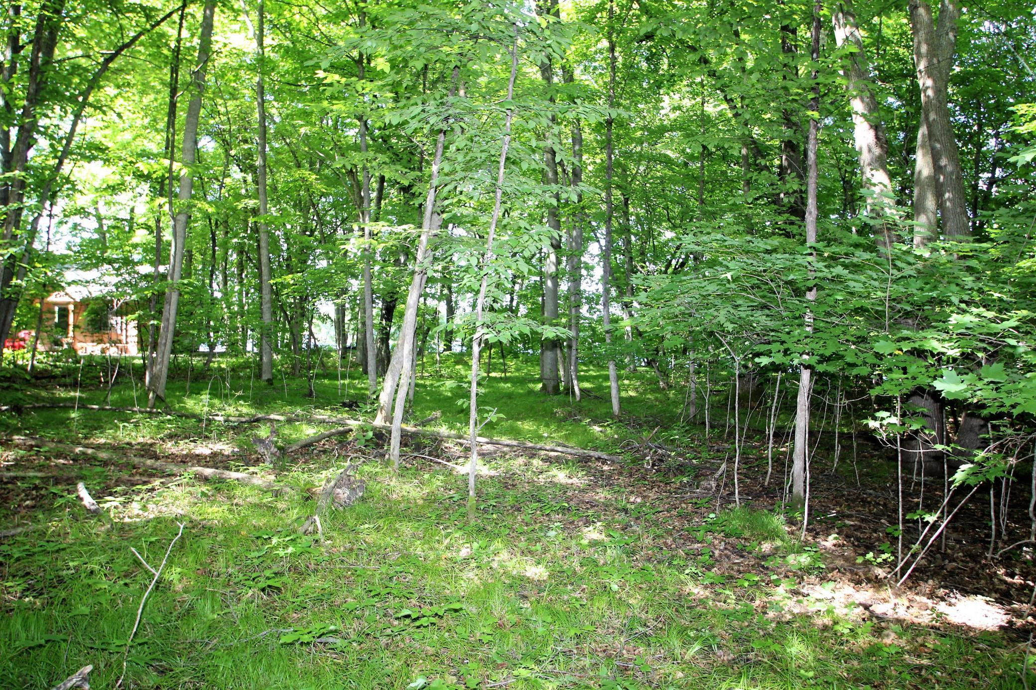 4967 X Fish Lake Road Pelican Rapids, MN 56572 - Photo 8 of 32