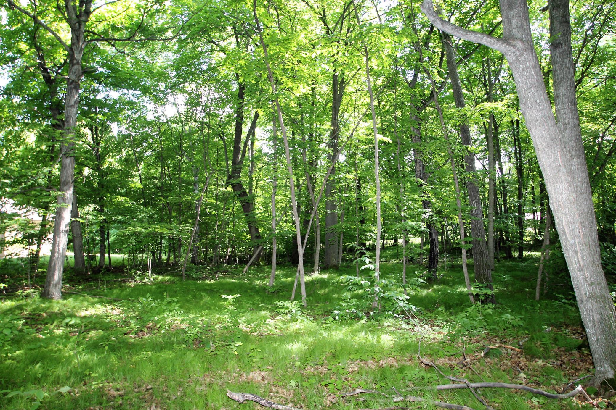 4967 X Fish Lake Road Pelican Rapids, MN 56572 - Photo 10 of 32