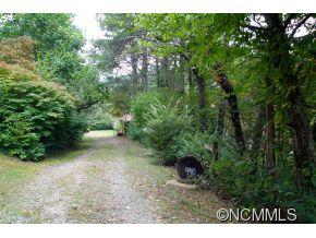 940 Hidden Valley Road Clyde, NC 28721 - Photo 3 of 23 a view of a forest that has a tree