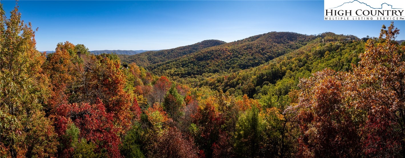1237 Reynolds Parkway Boone, NC 28607 - Photo 2 of 46