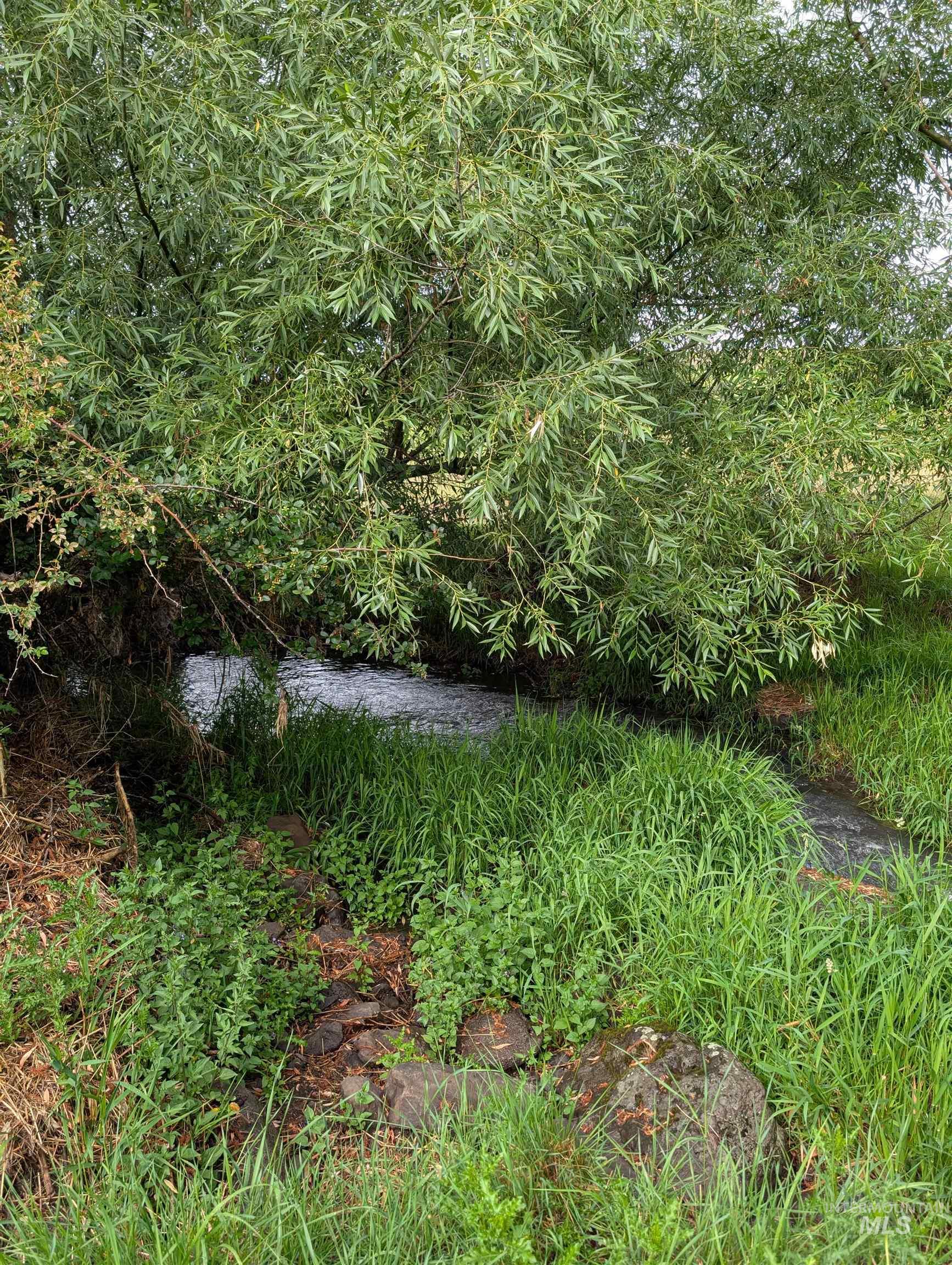 137 Angus Ranch Grangeville, ID 83530 - Photo 49 of 49 View of nature