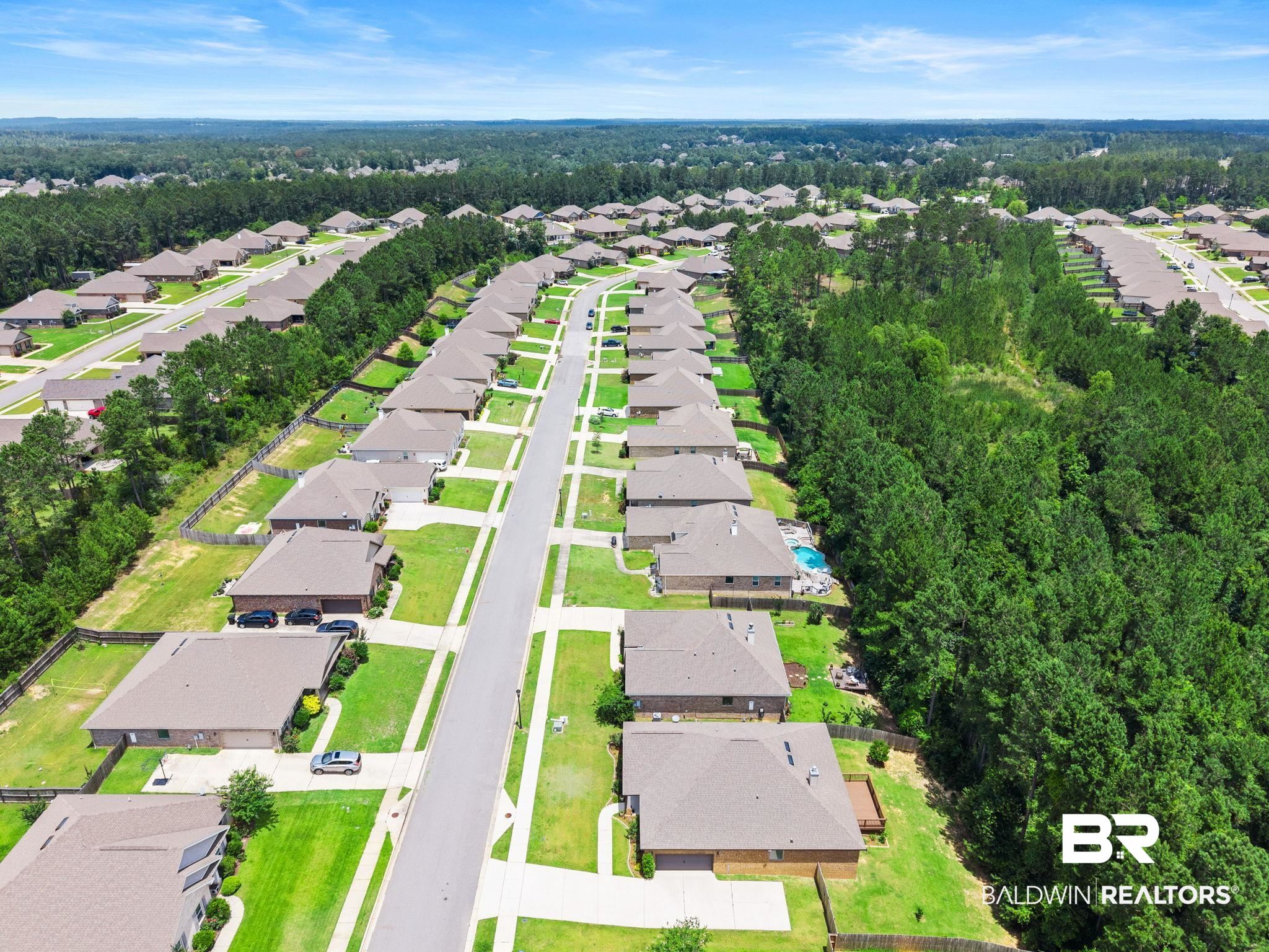 31350 Hoot Owl Road Daphne, AL 36527 - Photo 79 of 94 Aerial view