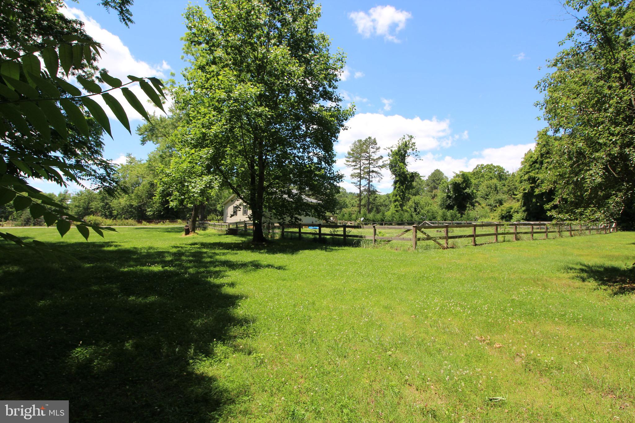 323 Goodwin Store Road Louisa, VA 23093 - Photo 15 of 15 Beautiful land