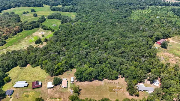 a view of a tree in a yard