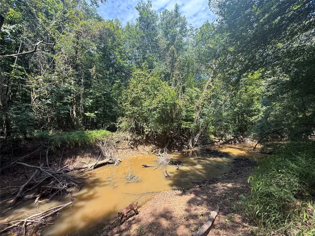a view of a yard with an trees