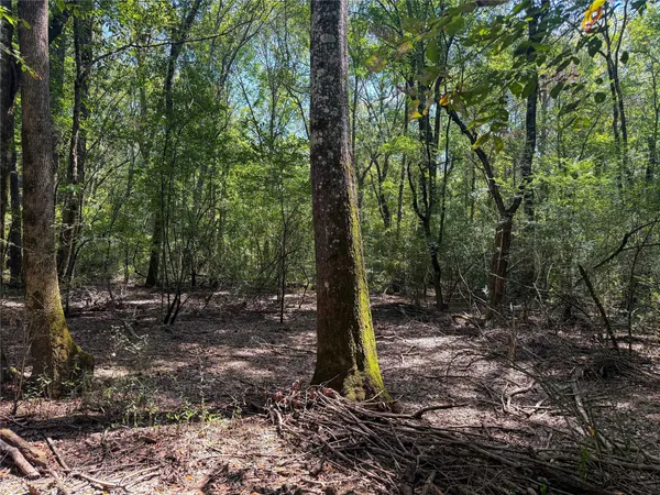 $228,500 | 0 County Road 4111, Timpson, TX 75975