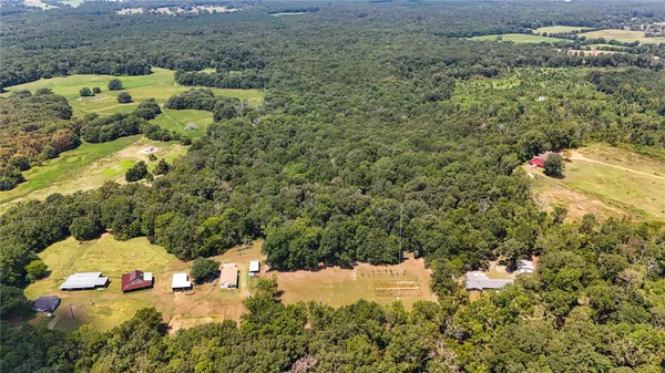 a view of a yard with yellow plants