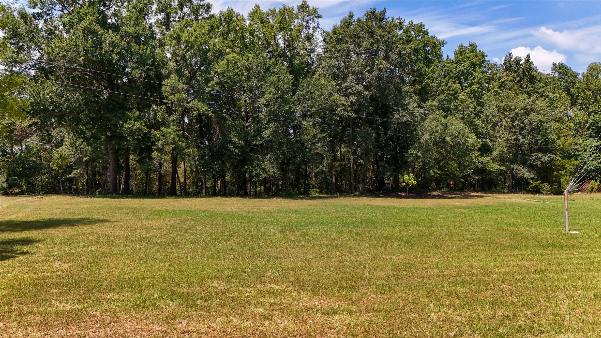 0 County Road 4111 Timpson, TX 75975 - Photo 3 of 18 a view of a field with an trees