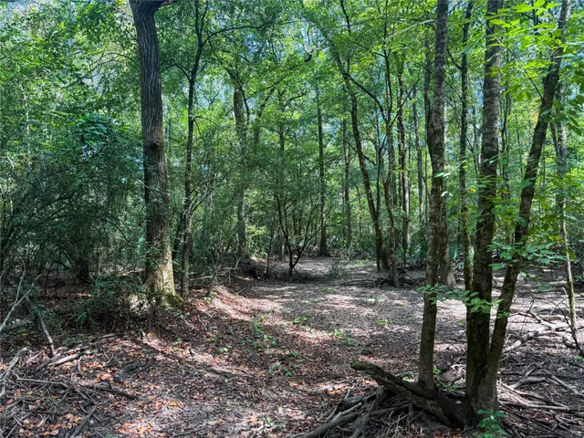 a view of outdoor space and trees