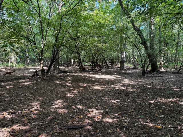 a view of outdoor space with trees
