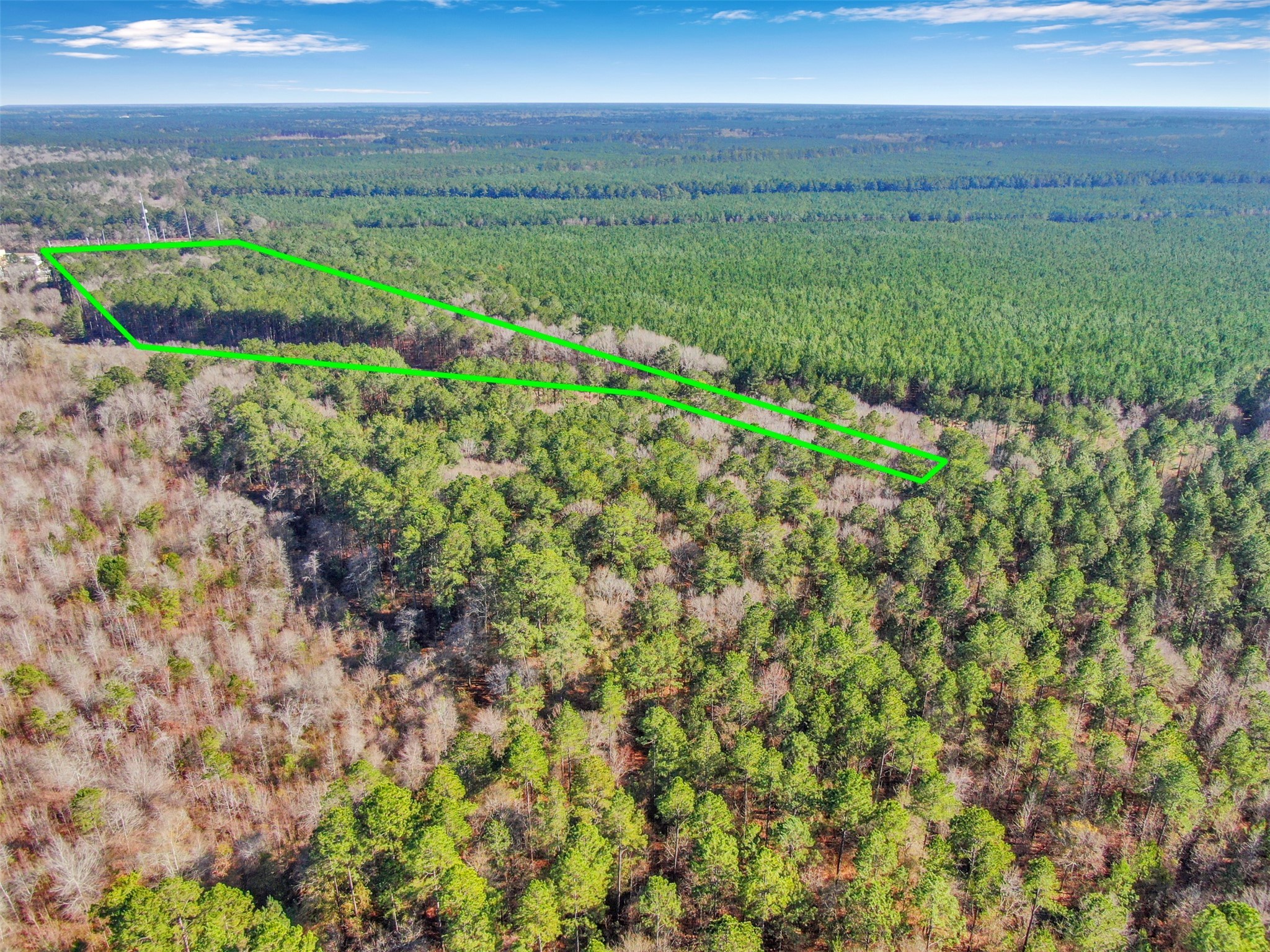 0 Pelican Road Shepherd, TX 77371 - Photo 4 of 9