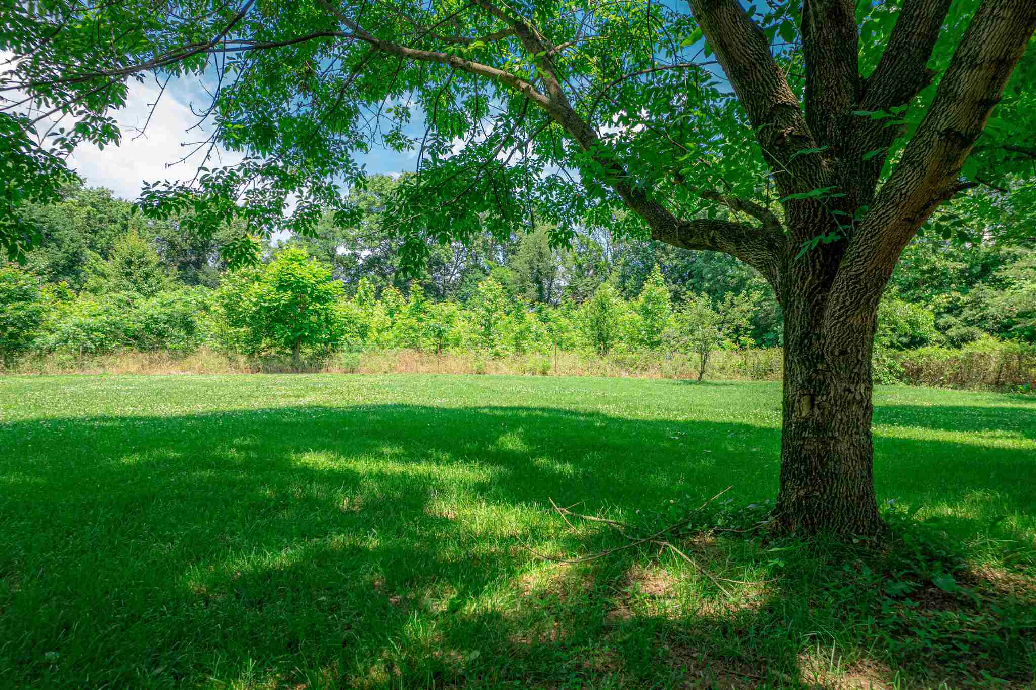 10588 Ditney Hill Road Elberfeld, IN 47613 - Photo 25 of 36 Gallery Image 25