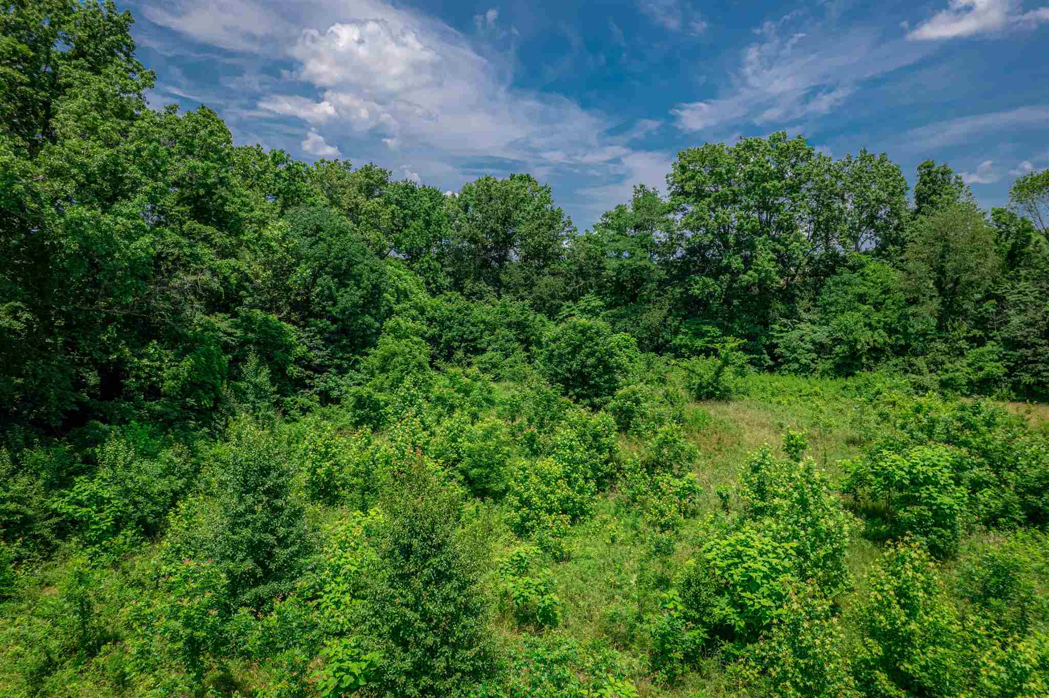 10588 Ditney Hill Road Elberfeld, IN 47613 - Photo 26 of 36 Gallery Image 26