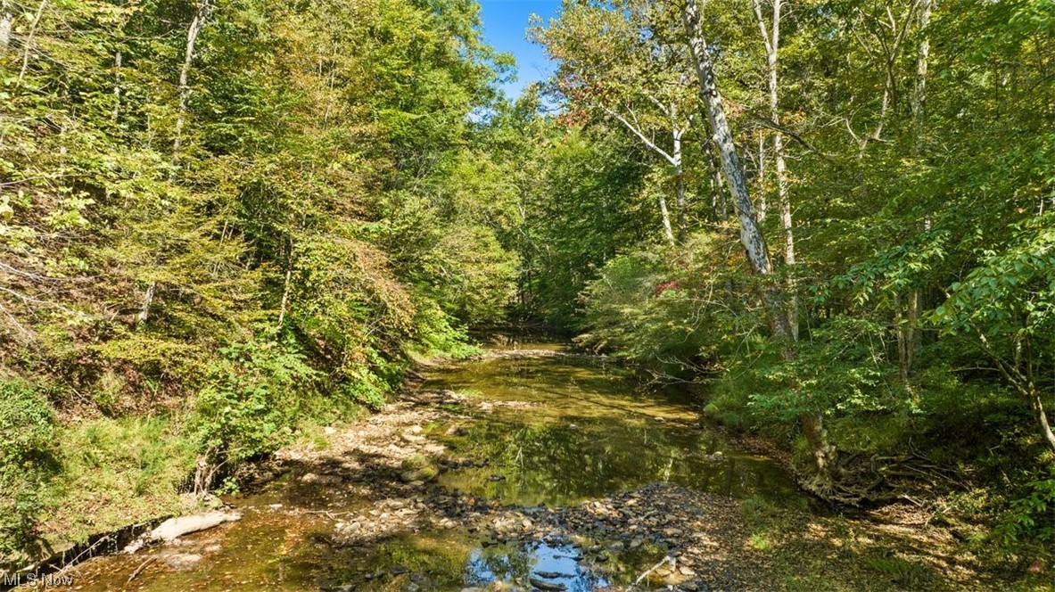 2008 Goose Creek Road Petroleum, WV 26161 - Photo 3 of 35 View of local wilderness with a water view